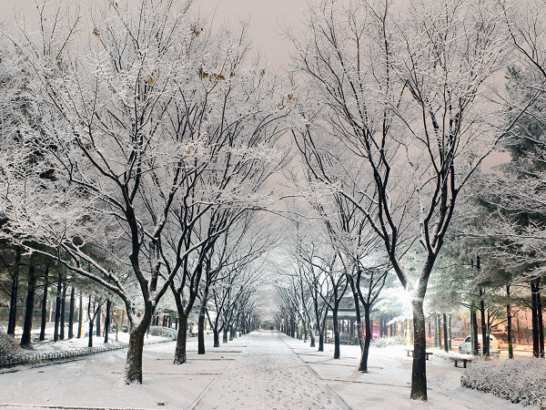 Cảnh đẹp Hàn quốc vào mùa đông