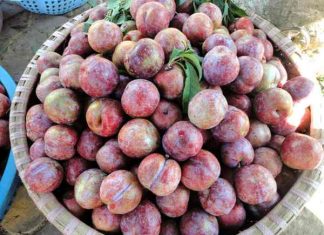 Đặc sản Lạng Sơn làm quà biếu 'đỉnh' nhất cho người thân