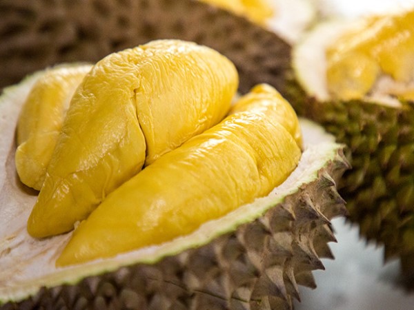 Sầu riêng không nên ăn chung với gì? Cảnh báo nên biết!