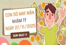 Con số may mắn tuổi Nhâm Tý ngày 27/11/2025 theo tình trạng cơ thể