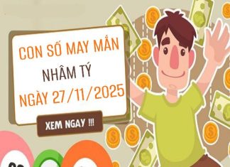 Con số may mắn tuổi Nhâm Tý ngày 27/11/2025 theo tình trạng cơ thể