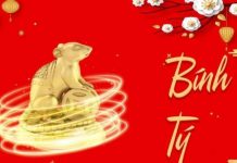 Con số lộc phát tuổi Bính Tý ngày 01/01/2026 nhiều lộc lá