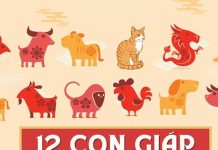 Con số may mắn hôm nay 17/01/2026 thứ 7 của 12 con giáp