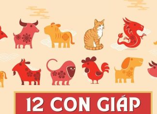 Con số may mắn hôm nay 17/01/2026 thứ 7 của 12 con giáp Con số may mắn hôm nay 17/01/2026 thứ 7 của 12 con giáp