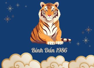 Con số may mắn tuổi Bính Dần ngày 16/1/2026 kích hoạt vận khí