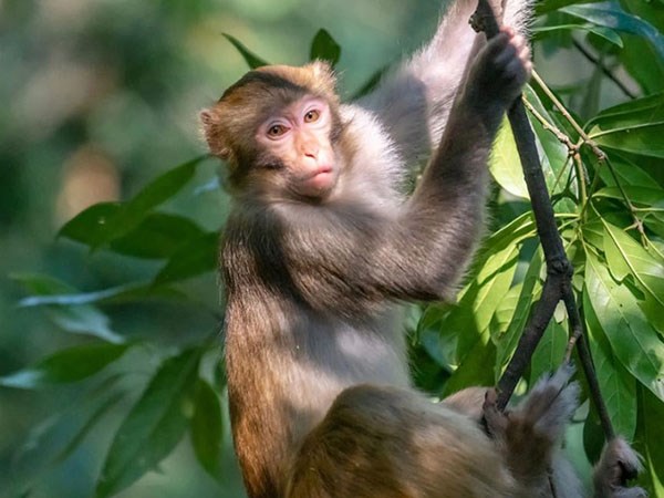 Con số may mắn hôm nay 17/01/2026 thứ 7 của 12 con giáp