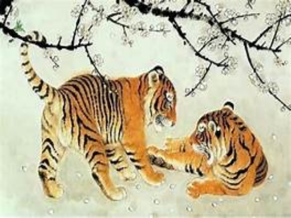 Tổng quan vận trình tuổi Canh Dần ngày 10/1/2026 Tổng quan vận trình tuổi Canh Dần ngày 10/1/2026