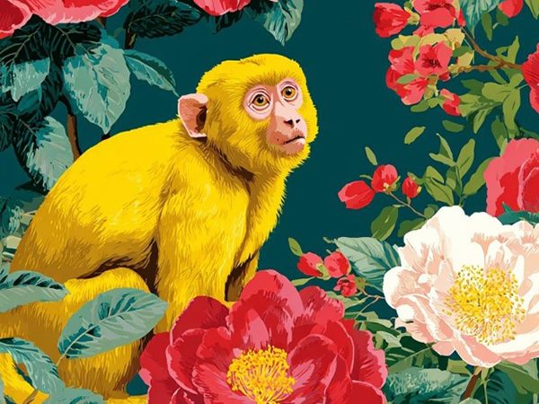 Con số may mắn hôm nay 8/4/2026 thứ 4 tuổi Thân