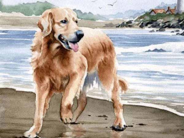 Tử vi tuổi Tuất ngày 22/4 chi tiết