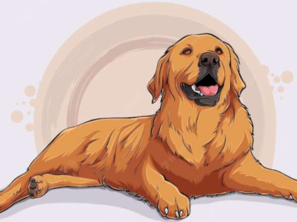 Con số may mắn ngày 22/4/2026 cho từng tuổi Tuất